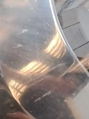 Second-hand car spare part right headlight for renault kangoo kangoo oem iam references 8200236591  