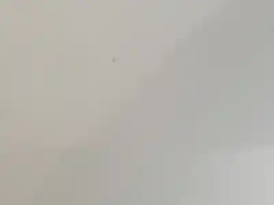 Pezzo di ricambio per auto di seconda mano porta posteriore destra per ford c-max c-max riferimenti oem iam 2222628  