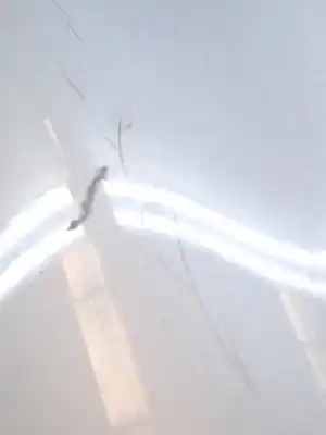 Автозапчасти б/у переднее правое крыло за renault clio ii fase ii (b/cb0) d4f722 ссылки oem iam 7701473449  