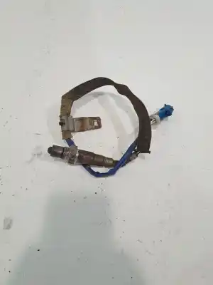 Peça sobressalente para automóvel em segunda mão sonda lambda por ford focus lim. (cb8) focus st sport referências oem iam 1346366  3m519f472dc