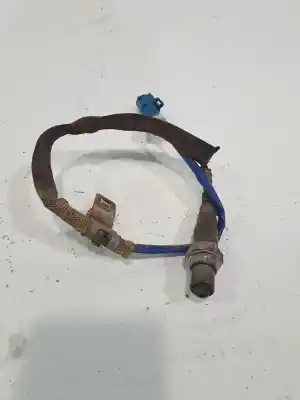 Peça sobressalente para automóvel em segunda mão sonda lambda por ford focus lim. (cb8) focus st sport referências oem iam 1346366  3m519f472dc