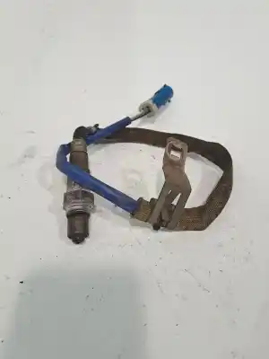 Peça sobressalente para automóvel em segunda mão sonda lambda por ford focus lim. (cb8) focus st sport referências oem iam 1346366  3m519f472dc