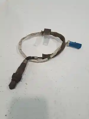 Peça sobressalente para automóvel em segunda mão SONDA LAMBDA por FORD FOCUS LIM. (CB8)  Referências OEM IAM 1346366  3M519F472DC