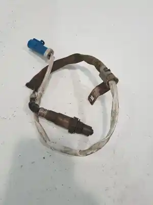Peça sobressalente para automóvel em segunda mão sonda lambda por ford focus lim. (cb8) focus st sport referências oem iam 1346366  3m519f472dc