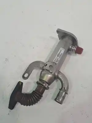 Pezzo di ricambio per auto di seconda mano raffreddatore egr per ford kuga (cbs) kuga 120 cv / 88 kw riferimenti oem iam 1233381  3m5q9f464aa