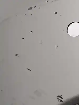 Second-hand car spare part rear bumper for lexus nx * oem iam references 5215978904  