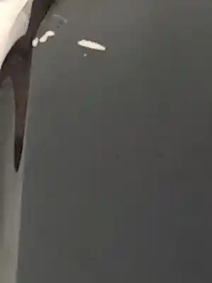 Peça sobressalente para automóvel em segunda mão para choques traseiro por ford focus lim. (cb8) t1da referências oem iam 1852397  bm51a17906ahxwaa