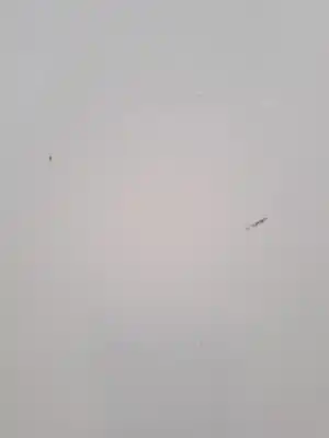 Second-hand car spare part bonnet for nissan note (e11e) note (e11e) oem iam references f51003vvma  