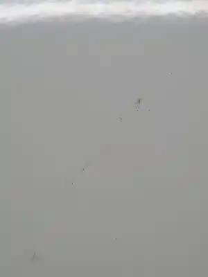 Second-hand car spare part outer fuel cap for nissan note (e11e) note (e11e) oem iam references g88303vvma  