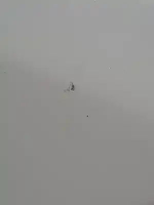 Second-hand car spare part outer fuel cap for nissan note (e11e) note (e11e) oem iam references g88303vvma  