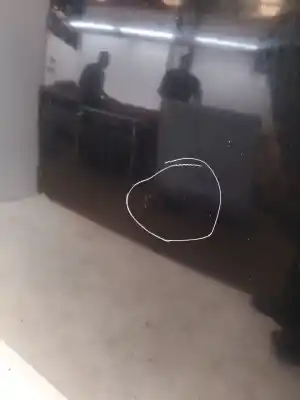 Peça sobressalente para automóvel em segunda mão capot por mazda 2 (de_, dh_) 1.3 (de3fs) referências oem iam d6y15231x  