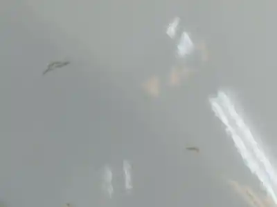 Second-hand car spare part left front fin for kia ceed (ed) g4fa oem iam references 663111h010  