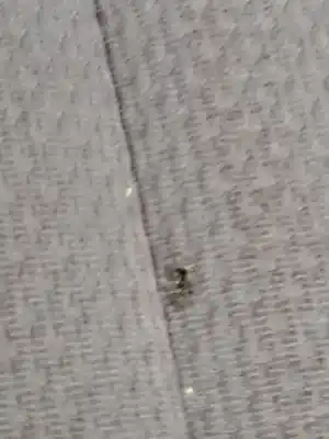 Peça sobressalente para automóvel em segunda mão conjunto de bancos por mazda 2 (de_, dh_) 1.3 (de3fs) referências oem iam df7188111a63  df7188161a63 - d65157200f63