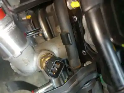 Peça sobressalente para automóvel em segunda mão motor completo por kia ceed (ed) g4fa referências oem iam g4fa  z56812bz00 - r41j