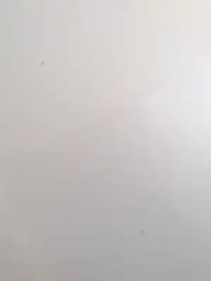 Peça sobressalente para automóvel em segunda mão capot por citroen c3 * referências oem iam 7901k6  