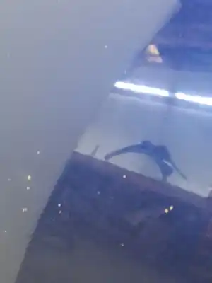 Автозапчастина б/у капок для mazda cx-7 (er) 2.2 mzr-cd awd (er10a) посилання на oem iam egy15231xc  