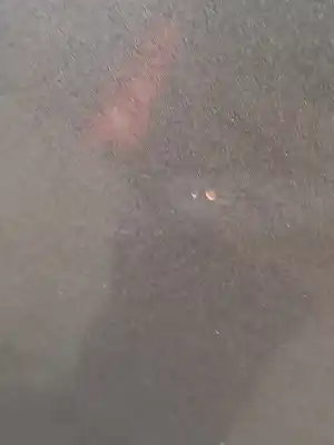 Second-hand car spare part bonnet for toyota corolla (e12) 2.0 turbodiesel cat oem iam references 5330102090  