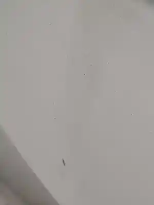 Pezzo di ricambio per auto di seconda mano portellone per lexus rx300 (mcu15) 3.0 riferimenti oem iam 6700548240  