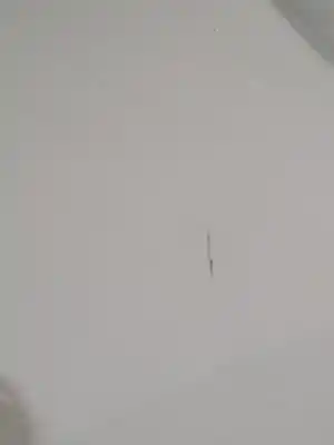 Pezzo di ricambio per auto di seconda mano portellone per lexus rx300 (mcu15) 3.0 riferimenti oem iam 6700548240  