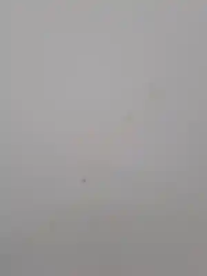 Peça sobressalente para automóvel em segunda mão capot por renault kangoo kangoo referências oem iam 7751478148  651329338r