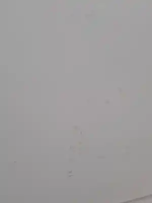 Peça sobressalente para automóvel em segunda mão capot por renault kangoo kangoo referências oem iam 7751478148  651329338r