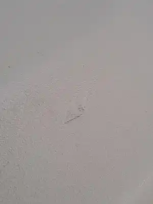 Pezzo di ricambio per auto di seconda mano rivestimento portiera posteriore sinistra per land rover range rover evoque 2.2 110cv riferimenti oem iam lr028137  bj3227407ja