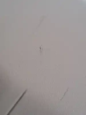 Pezzo di ricambio per auto di seconda mano rivestimento portiera posteriore sinistra per land rover range rover evoque 2.2 110cv riferimenti oem iam lr028137  bj3227407ja