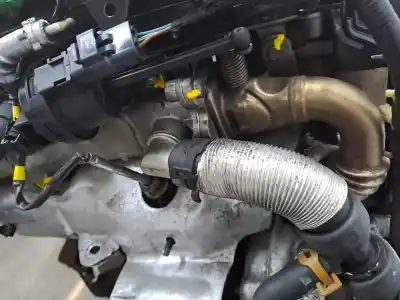 Pezzo di ricambio per auto di seconda mano motore completo per land rover range rover evoque 2.2 110cv riferimenti oem iam 224dt  