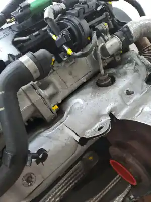 Pezzo di ricambio per auto di seconda mano motore completo per land rover range rover evoque 2.2 110cv riferimenti oem iam 224dt  