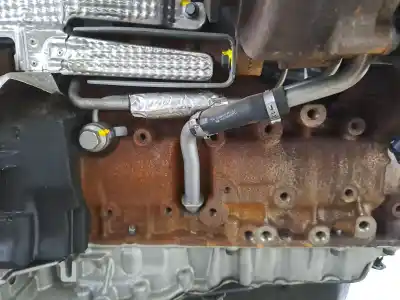 Pezzo di ricambio per auto di seconda mano motore completo per land rover range rover evoque 2.2 110cv riferimenti oem iam 224dt  