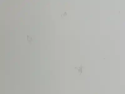 Peça sobressalente para automóvel em segunda mão capot por renault clio iii clio iii referências oem iam 7751479109  