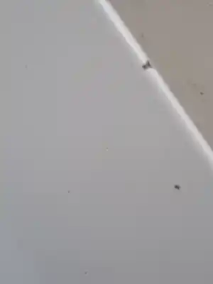 Second-hand car spare part bonnet for kia ceed ceed drive oem iam references 66400a2000  