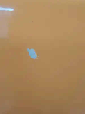 Peça sobressalente para automóvel em segunda mão porta da frente esquerda por lancia ypsilon (101) 1.4 16v platino referências oem iam 51703011  