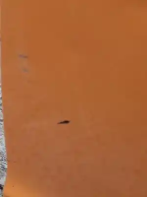 Peça sobressalente para automóvel em segunda mão porta da frente esquerda por lancia ypsilon (101) 1.4 16v platino referências oem iam 51703011  