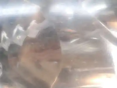 Second-hand car spare part right headlight for toyota corolla (e12) 2.0 turbodiesel cat oem iam references 8113002180  