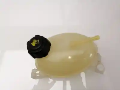Second-hand car spare part coolant expansion tank for dacia duster dhd2 oem iam references 217107259r  