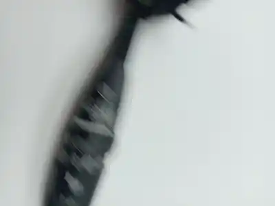 Автозапчасти б/у команда очистки за ssangyong kyron d20dt ссылки oem iam 8591009331  