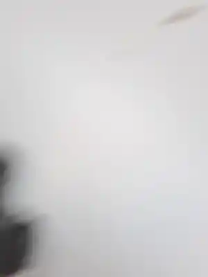 Second-hand car spare part parking sensor for ford grand c-max t1da oem iam references 2018396  cj5t15k859ea