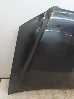 Peça sobressalente para automóvel em segunda mão capot por audi a4 avant (8e) a4 avant 8e referências oem iam 8e0823029d  