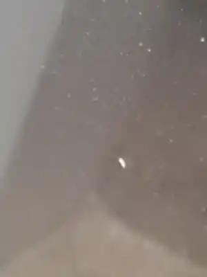 Peça sobressalente para automóvel em segunda mão capot por audi a4 avant (8e) a4 avant 8e referências oem iam 8e0823029d  