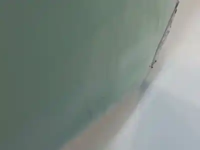 Second-hand car spare part rear bumper for ford focus turn. t1da oem iam references 1719100  bm5117866ac