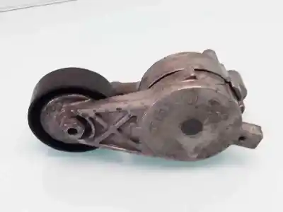 Peça sobressalente para automóvel em segunda mão ESTICADOR DE CORREIA por SEAT LEON (1P1)  Referências OEM IAM 03G903315A  