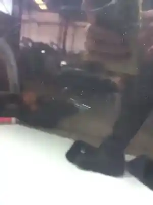 Peça sobressalente para automóvel em segunda mão capot por ford focus ii (da_) 1.6 referências oem iam p8m51a16610ae  1521601