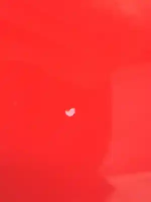 İkinci el araba yedek parçası arka sol kapi için citroen c1 * oem iam referansları 9008n9  