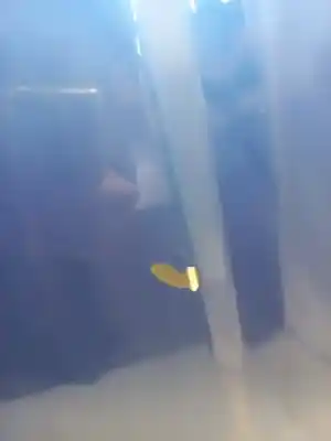 Peça sobressalente para automóvel em segunda mão capot por bmw 3 coupé (e46) 320 ci referências oem iam 41618237725  