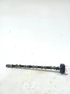 Pezzo di ricambio per auto di seconda mano Albero A Camme per BMW SERIE 7 (E65/E66) 730Ld 218 CV / 160 KW Riferimenti OEM IAM 11317788776  
