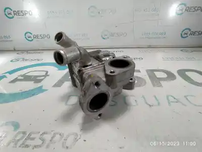Pezzo di ricambio per auto di seconda mano raffreddatore egr per kia ceed (cd) 1.6 crdi 136 riferimenti oem iam 284602u001  