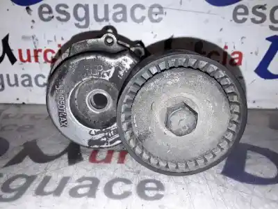 Pezzo di ricambio per auto di seconda mano tendicinghia ausiliaria per opel corsa 3 c 1.3 cdti 70ch manual riferimenti oem iam 55185074ax  