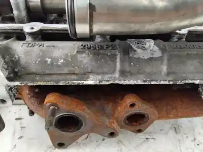 Pezzo di ricambio per auto di seconda mano testata motore per renault clio iii authentique 65 cv / 48 kw riferimenti oem iam 2968f2  