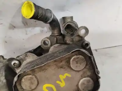 Pezzo di ricambio per auto di seconda mano Radiatore Olio Motore per CITROEN JUMPY 2.0 Chapa Confort 900kg [2.0 Ltr. - 80 kW HDi] Riferimenti OEM IAM 9685997780  